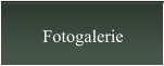 Fotogalerie